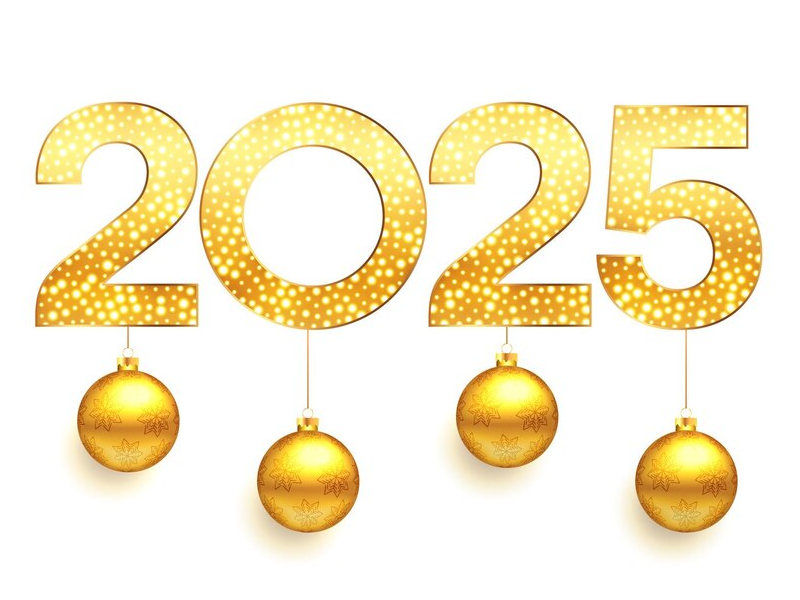 Vœux 2025