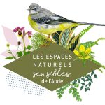 ENS - DES OISEAUX ET DES MILIEUX