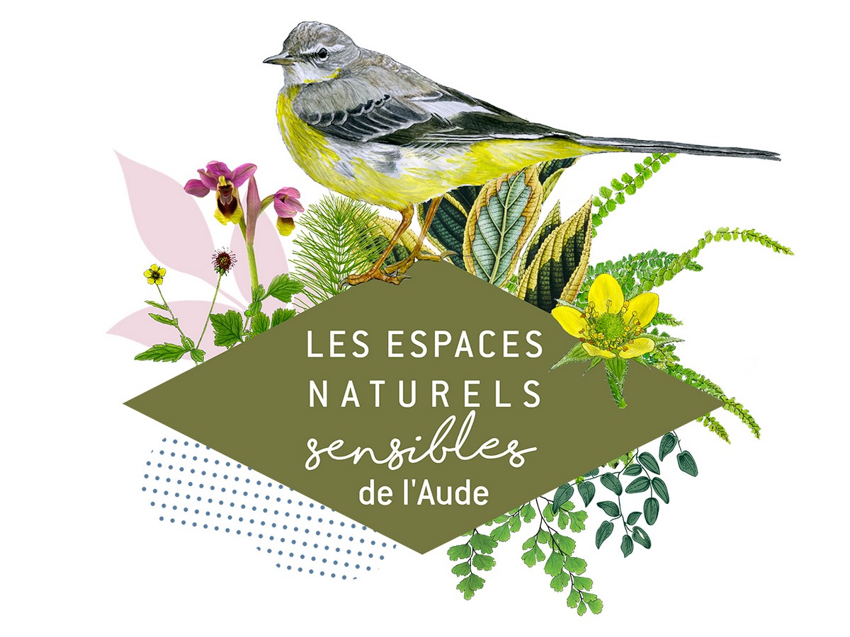 ENS - DES OISEAUX ET DES MILIEUX