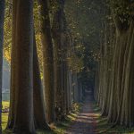 JOURNÉE NATIONALE DE LA QUALITÉ DE L'AIR: BALADE NATURE - PAYRA-SUR-L'HERS