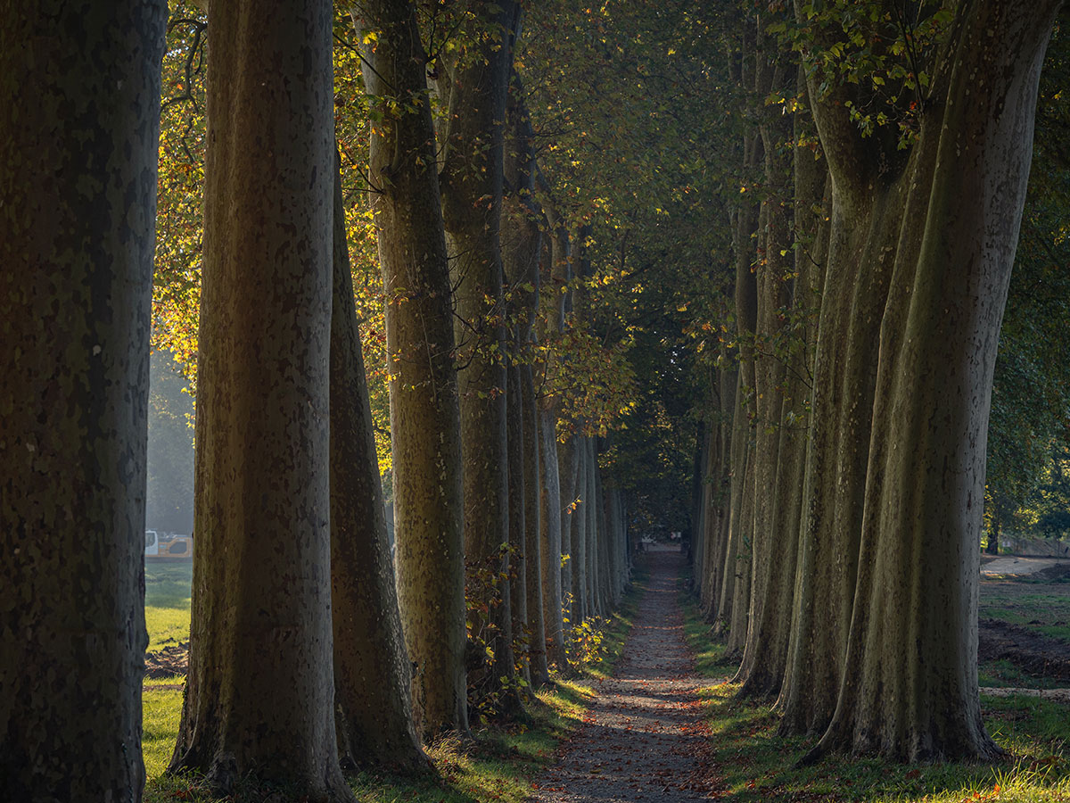 JOURNÉE NATIONALE DE LA QUALITÉ DE L'AIR: BALADE NATURE - PAYRA-SUR-L'HERS